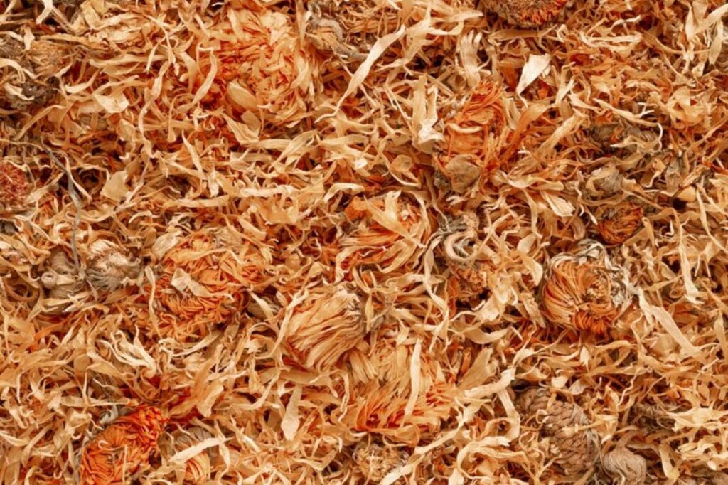 wood chip mulch