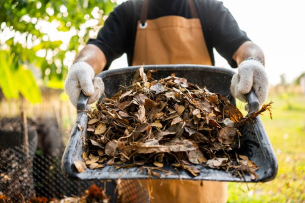 pine bark mulch